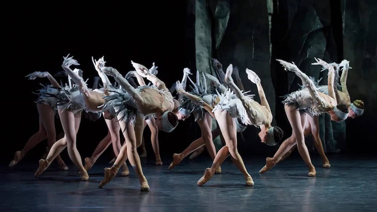 Lac (After Swan Lake) backdrop