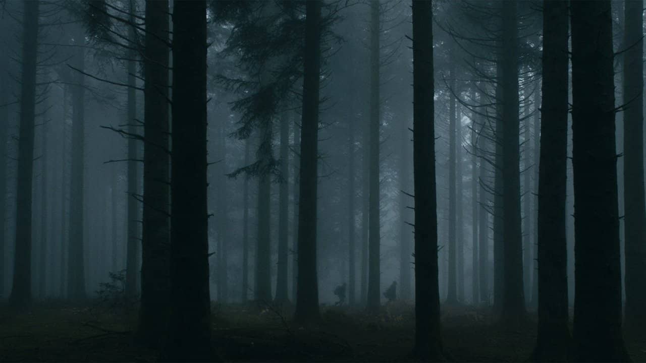 Dark Heart of the Forest backdrop