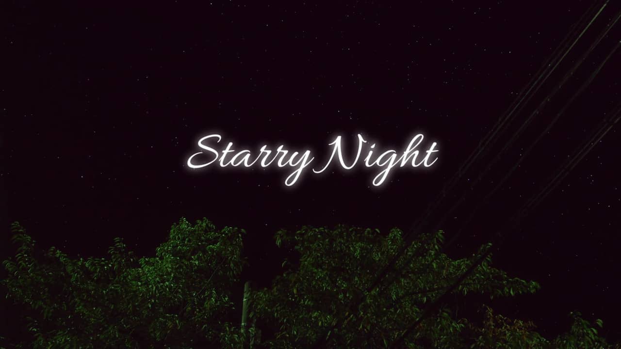 Starry Night backdrop