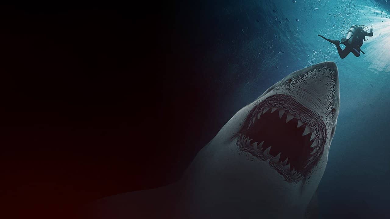 Great White Waters backdrop