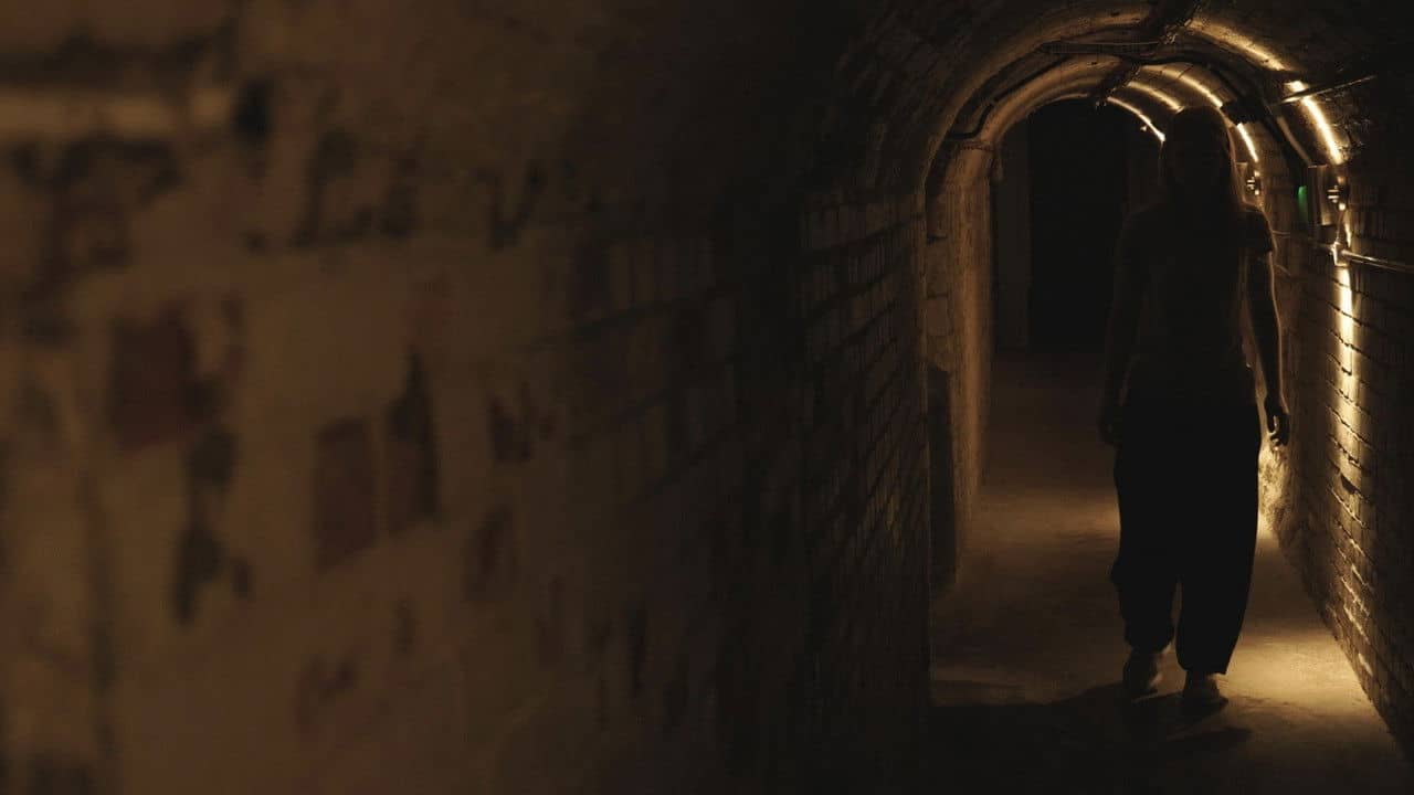 The Cellar backdrop