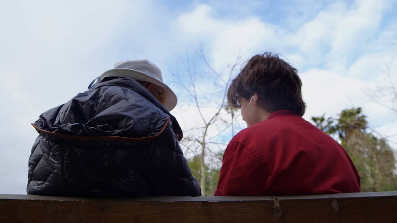 Perspectives on a Park Bench backdrop