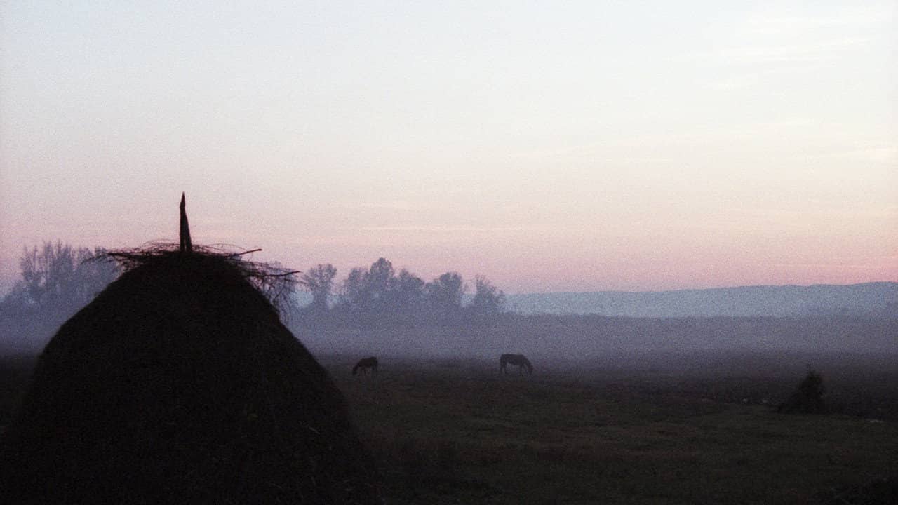 A Short Story of Absence and Return backdrop