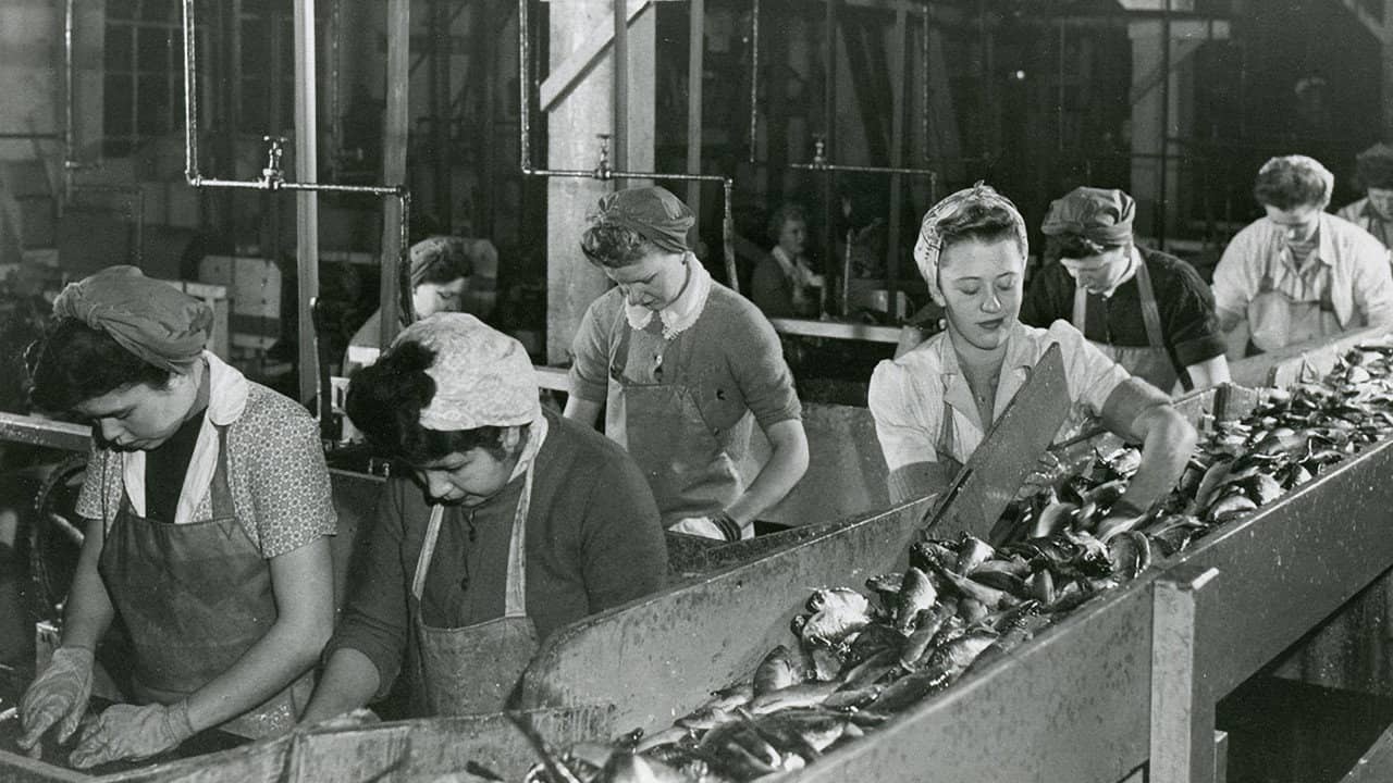 Working People: A History of Labour in British Columbia backdrop