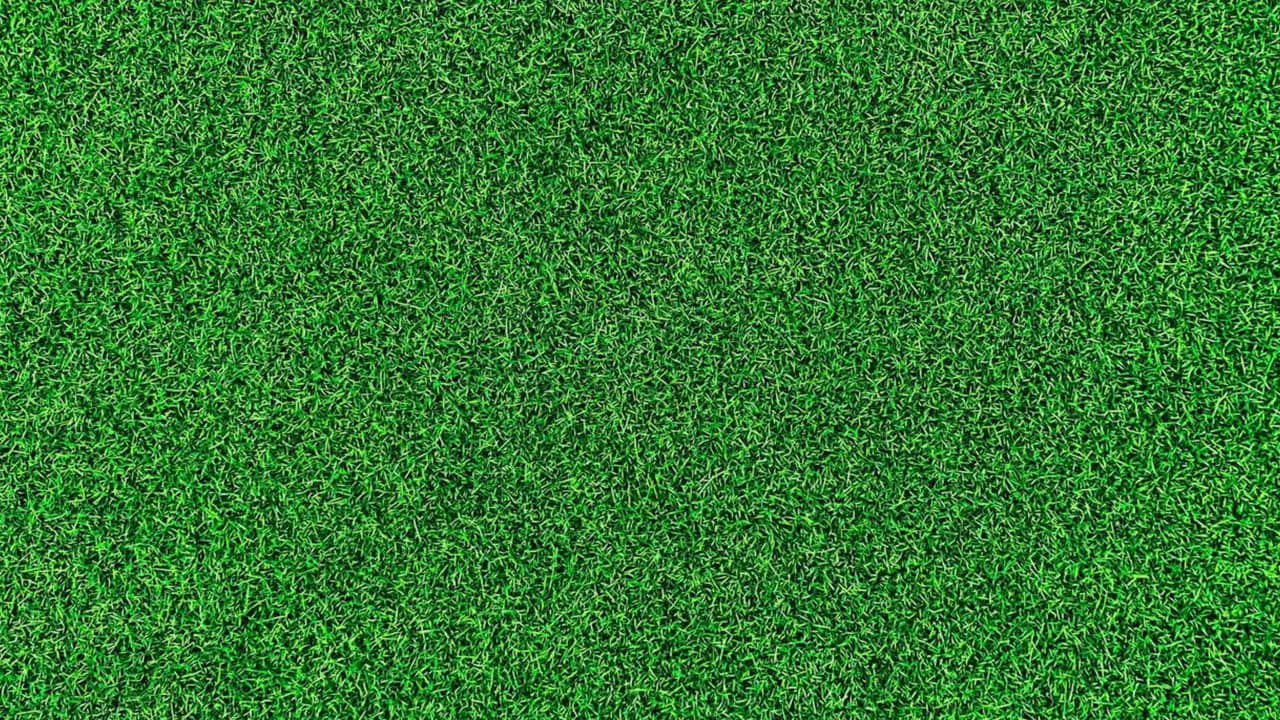 Life on the Green backdrop