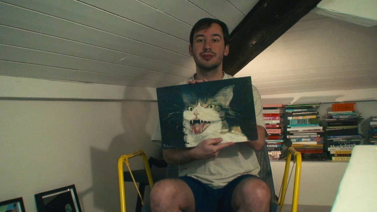 How To Save A Cat? backdrop