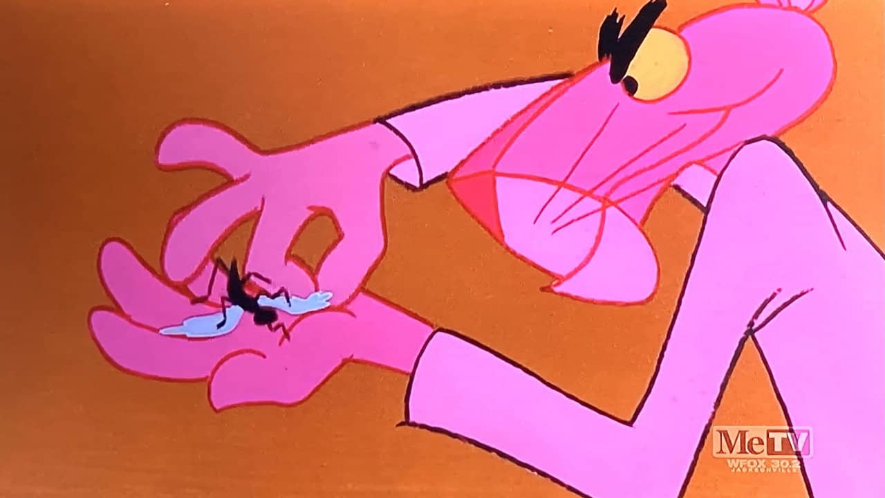 A Fly in the Pink backdrop