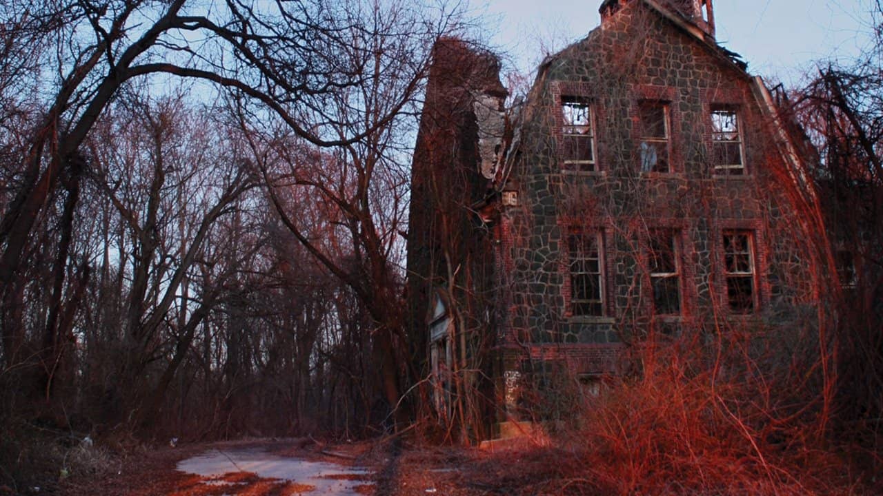 Cropsey backdrop