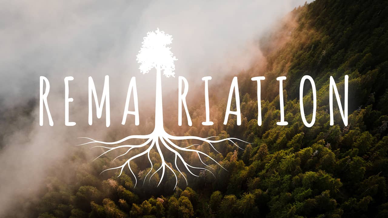 Rematriation backdrop