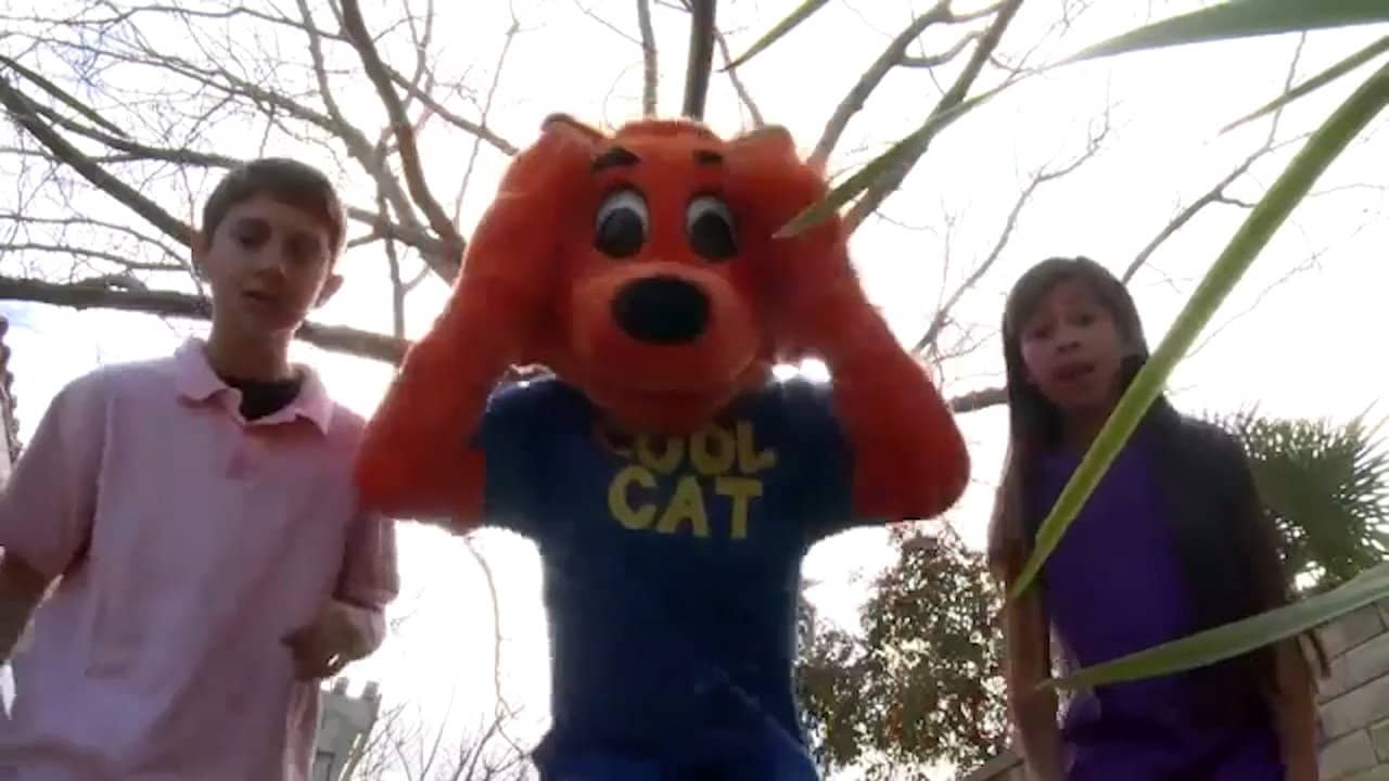Cool Cat Finds a Gun backdrop