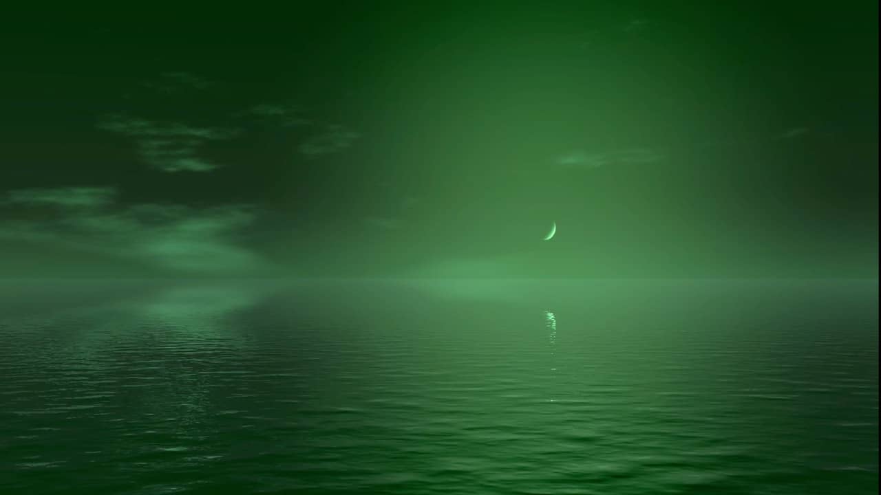 Mother of Fog backdrop