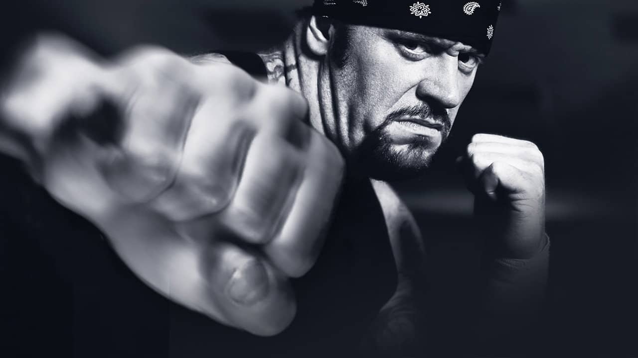 WWE Vengeance 2003 backdrop