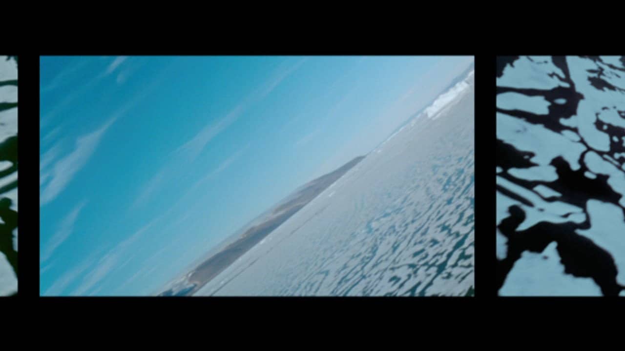Polar Life backdrop