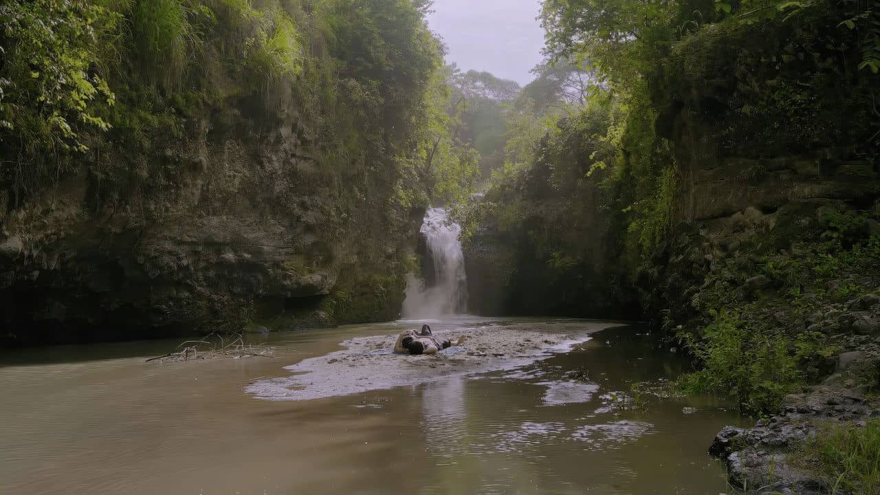 Salikmata backdrop