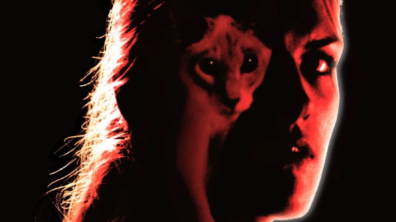 Kat backdrop