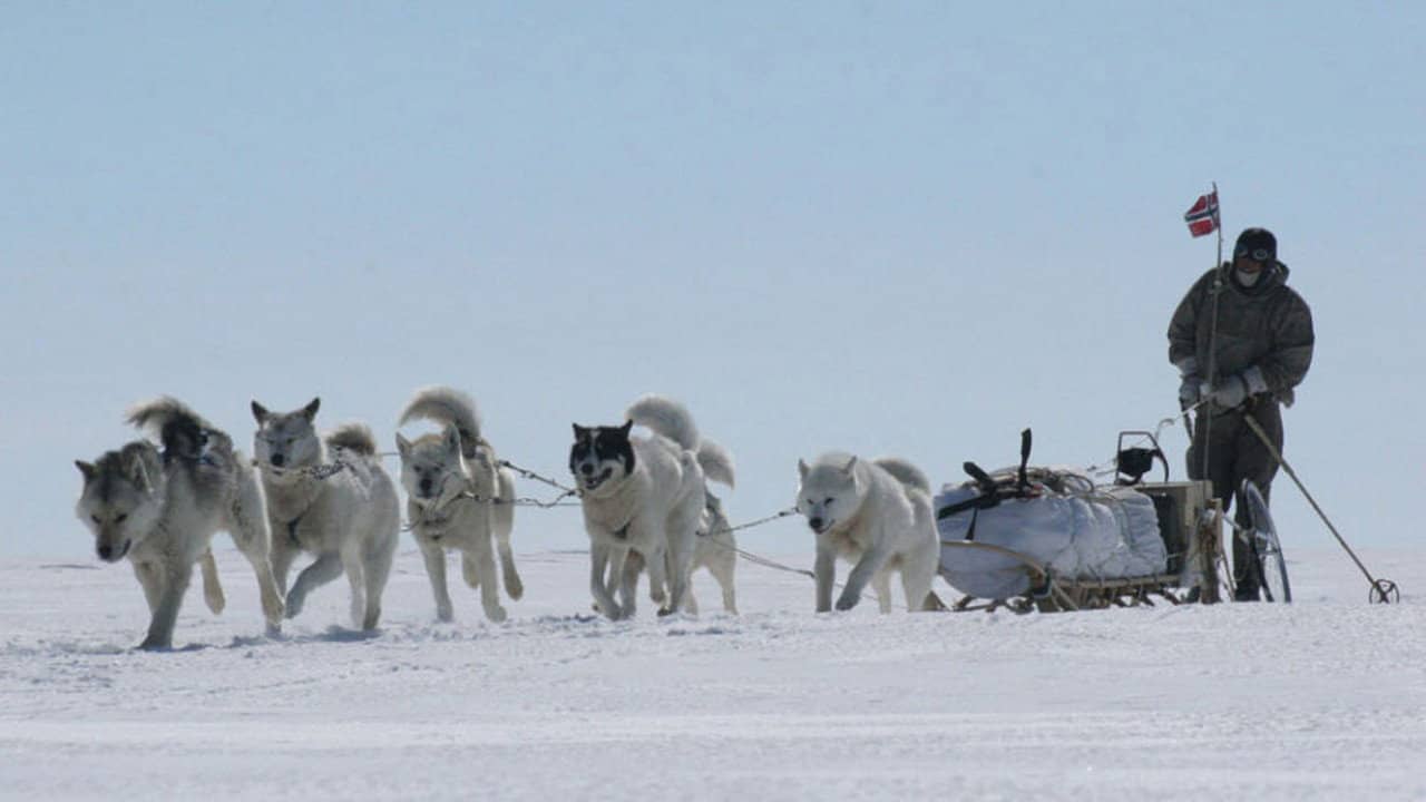 Blizzard: Race to the Pole backdrop
