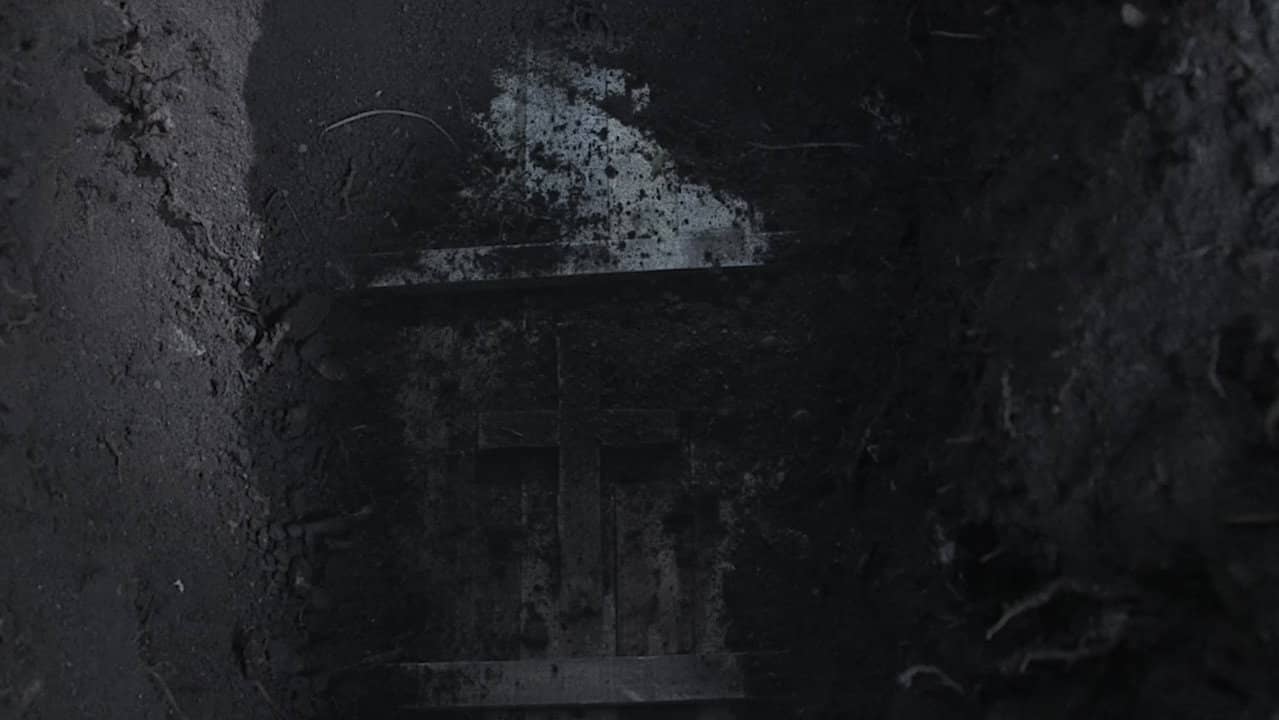 The Curse of Lady Lazarus backdrop