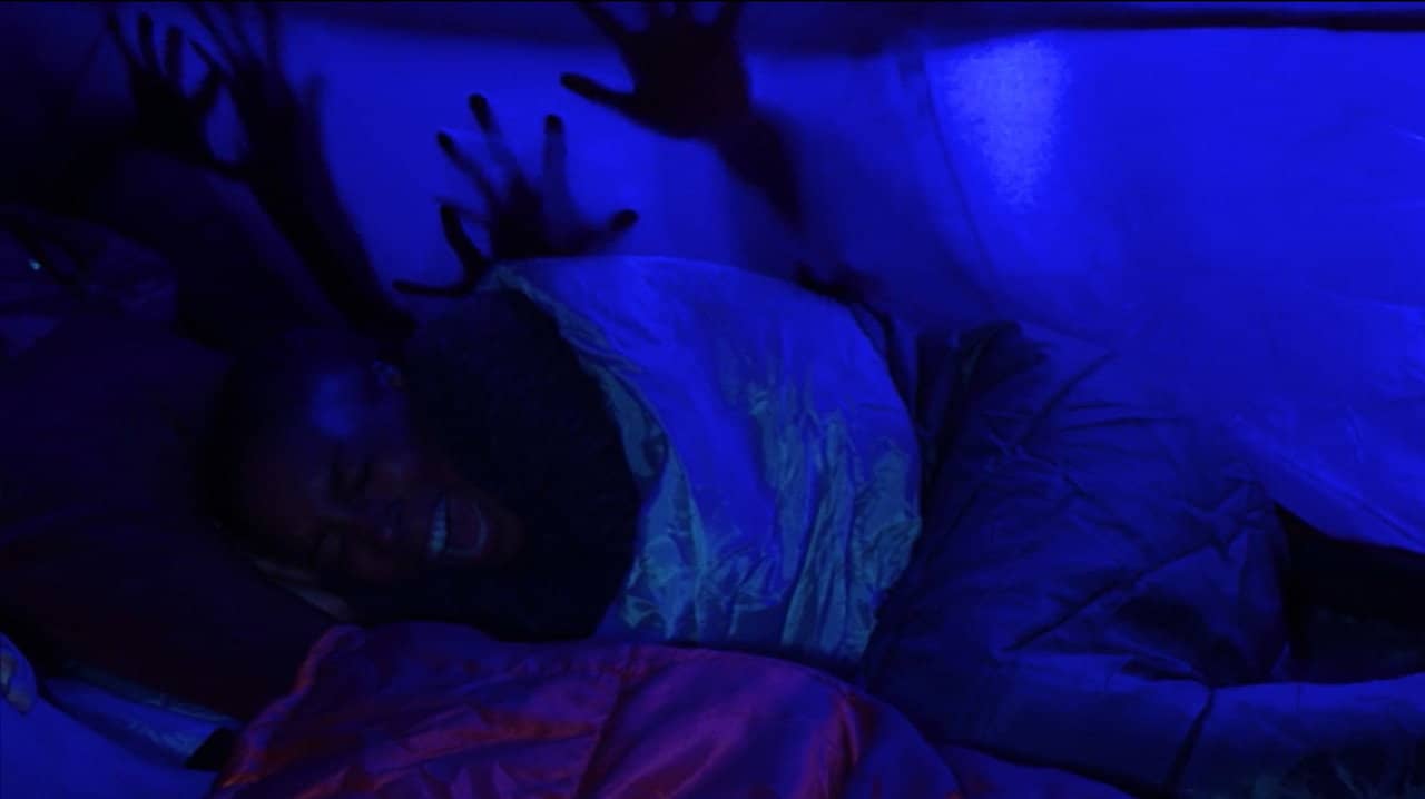 The Woods backdrop