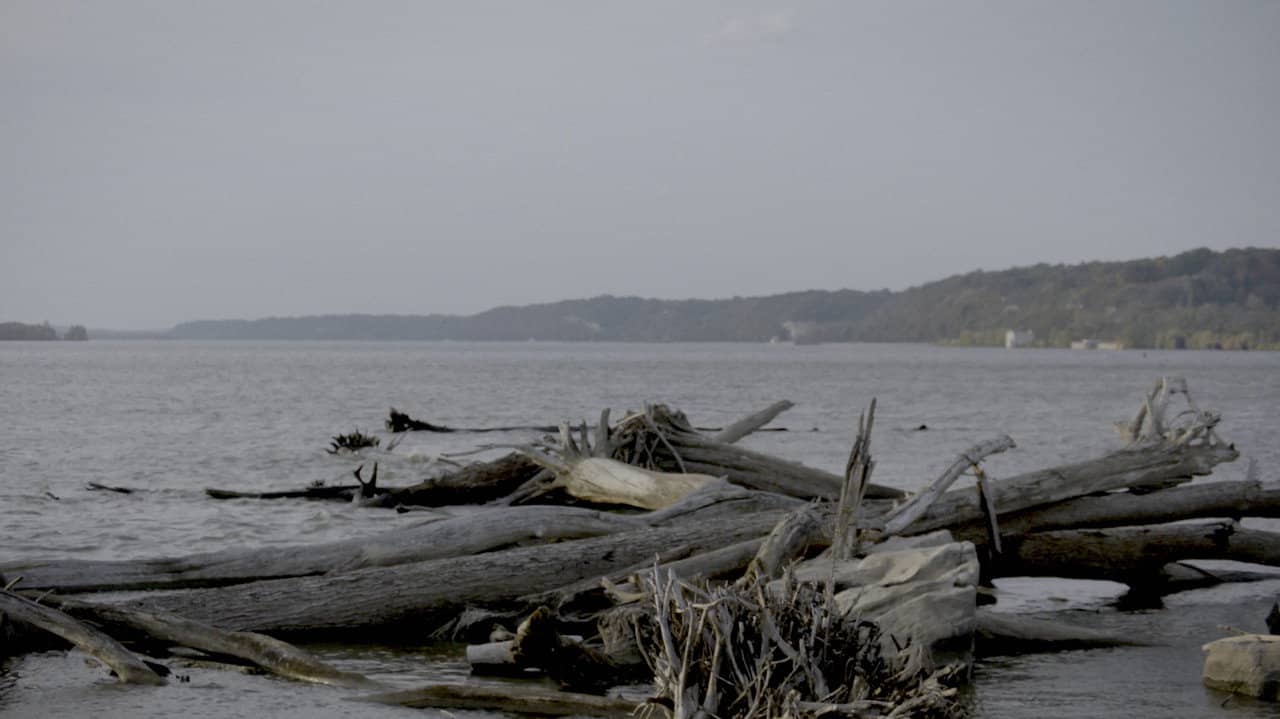 Smallpox Island backdrop