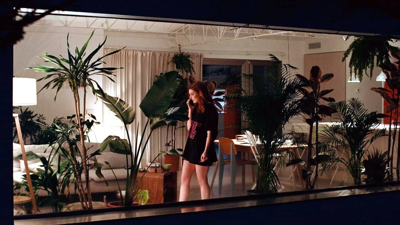 Monstera backdrop