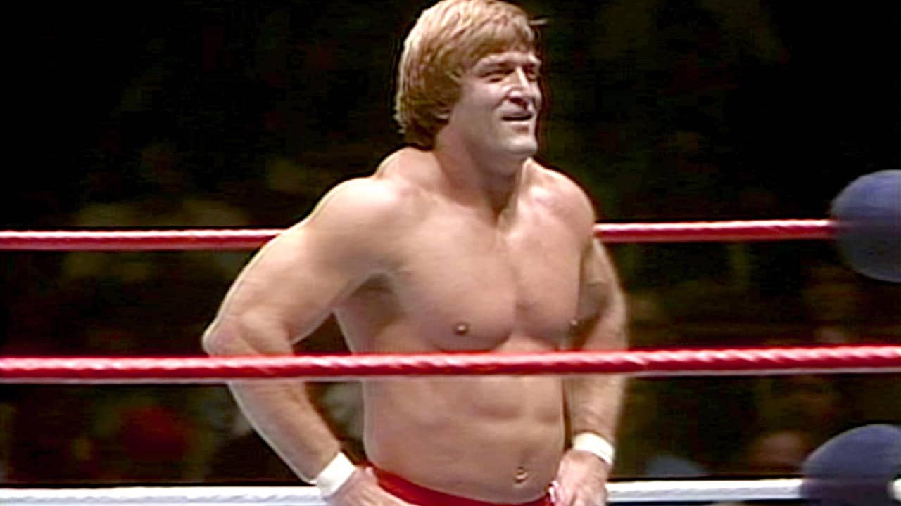 The Greatest Wrestling Stars of the '80s backdrop
