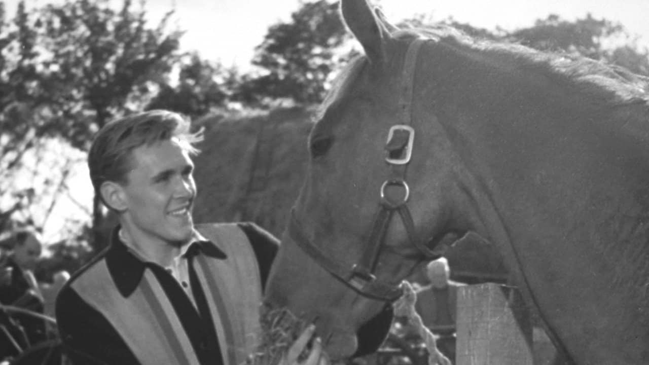 I've Gotta Horse backdrop
