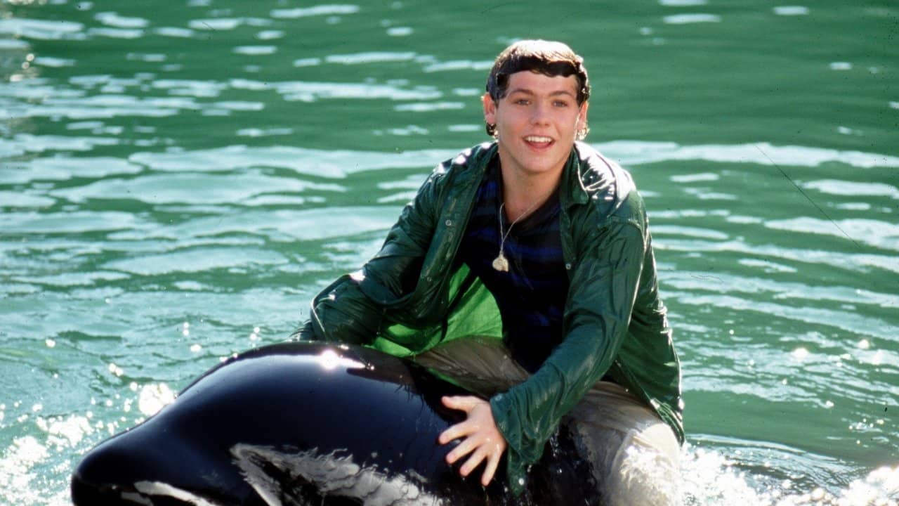 Free Willy 3: The Rescue backdrop