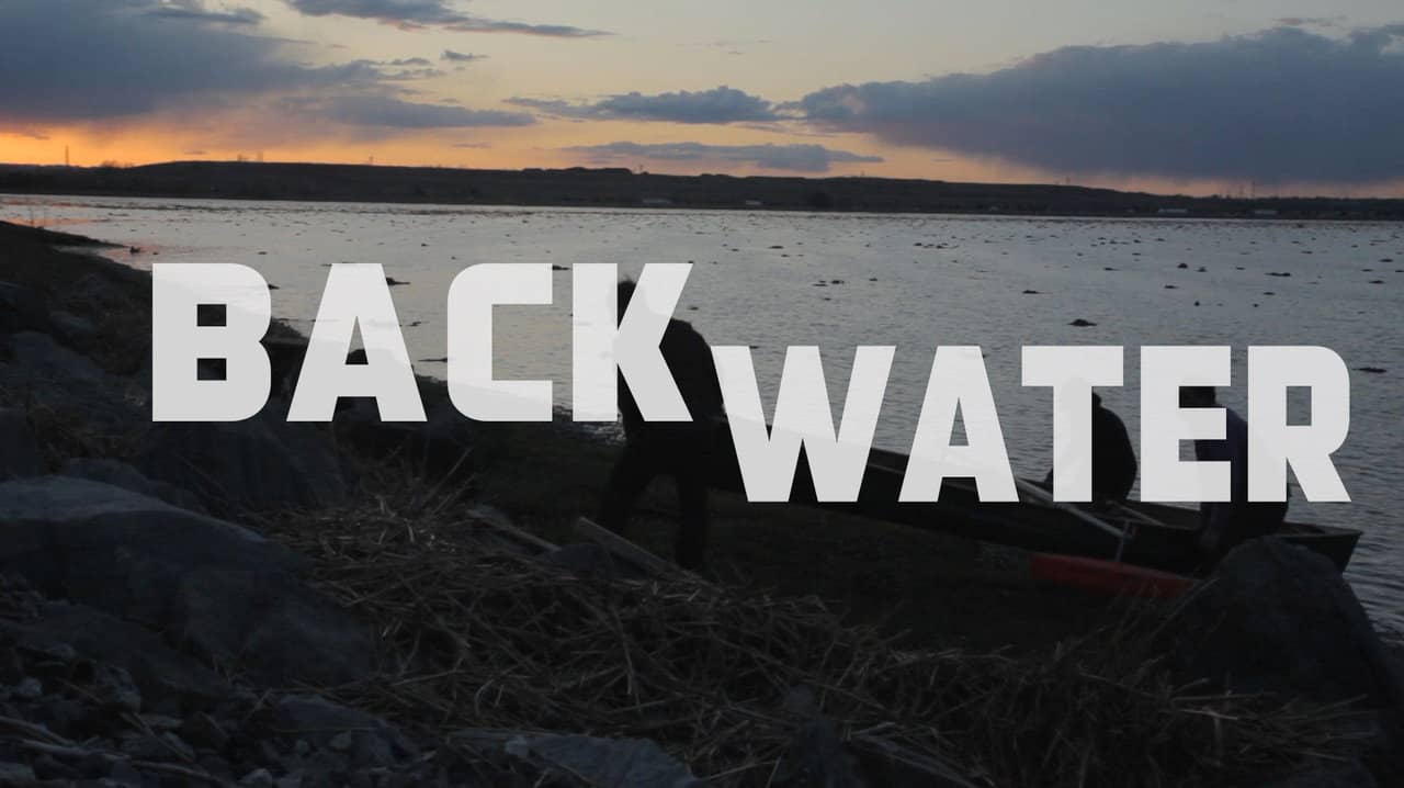 Back Water backdrop