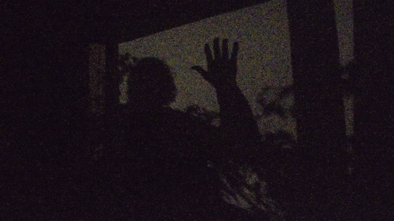 A garden of shadows backdrop