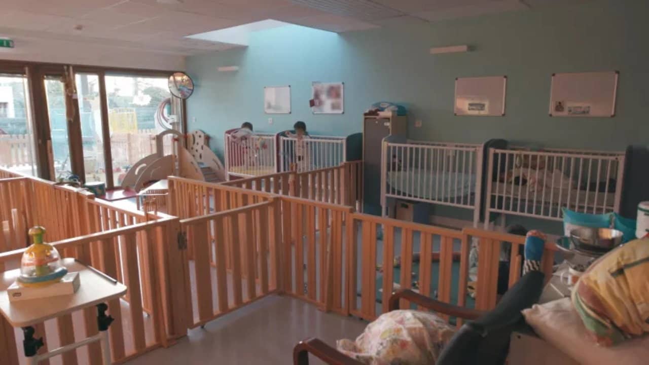 Bébés placés, la vie devant eux backdrop