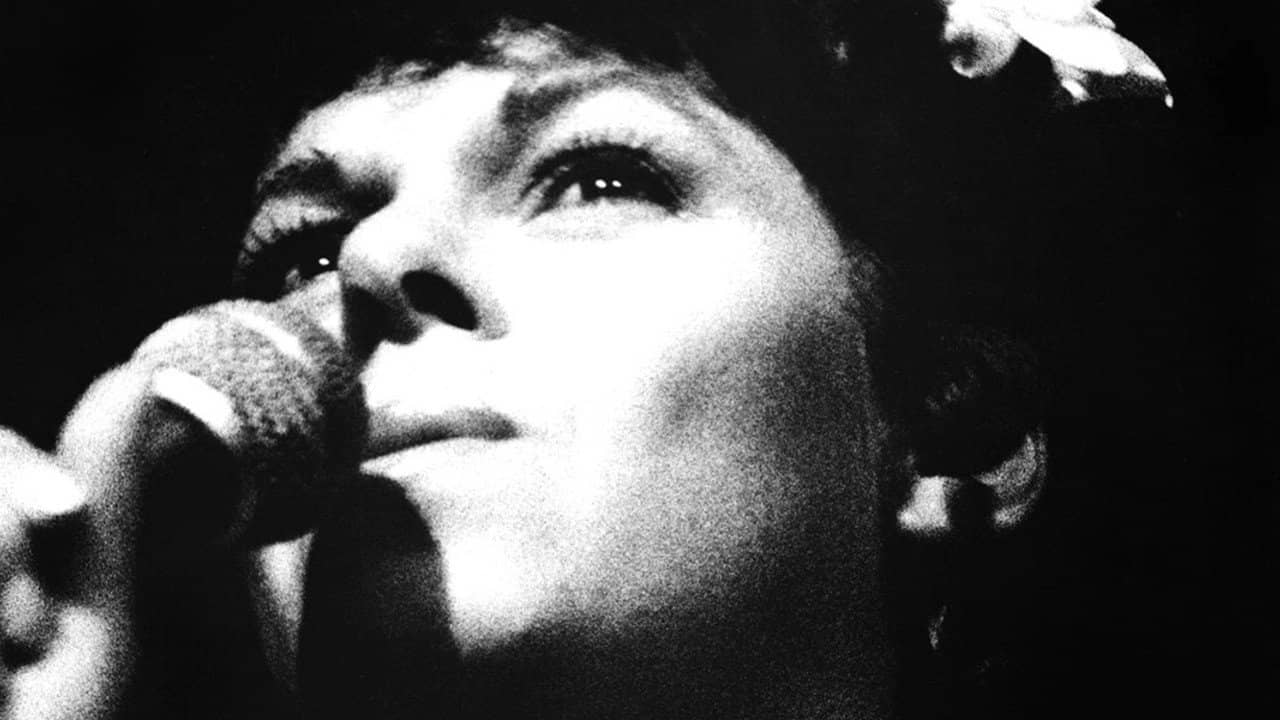 Miúcha, The Voice of Bossa Nova backdrop
