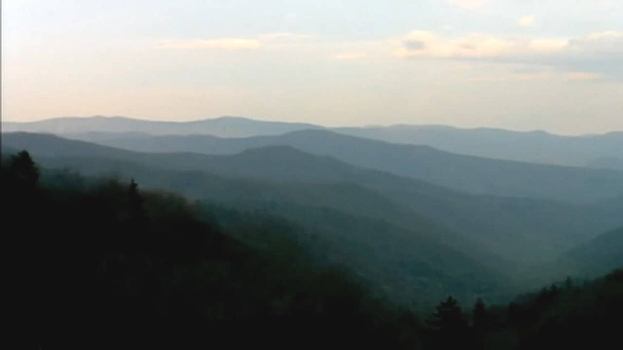 Bigfoot Witness backdrop