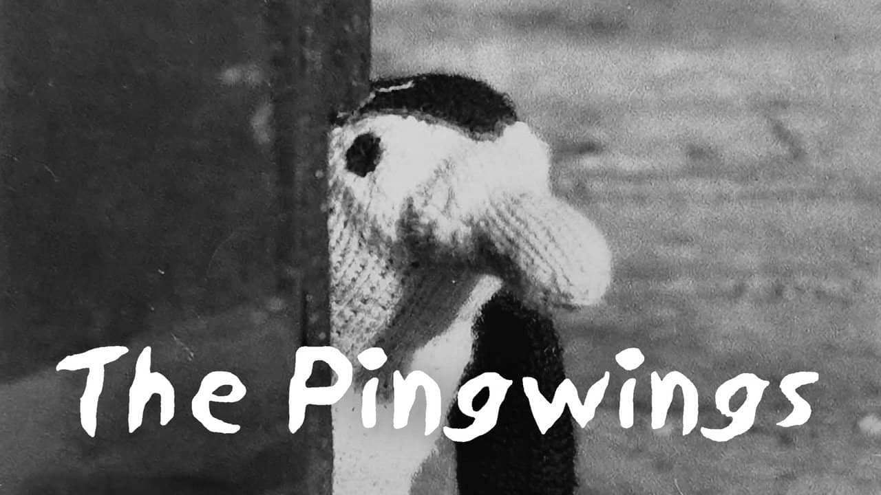 The Pingwings backdrop