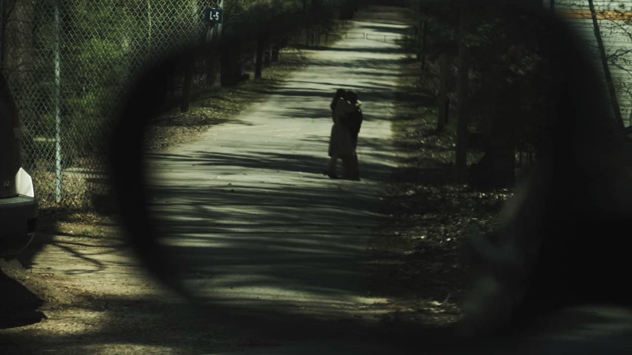 Sight of the Fact backdrop