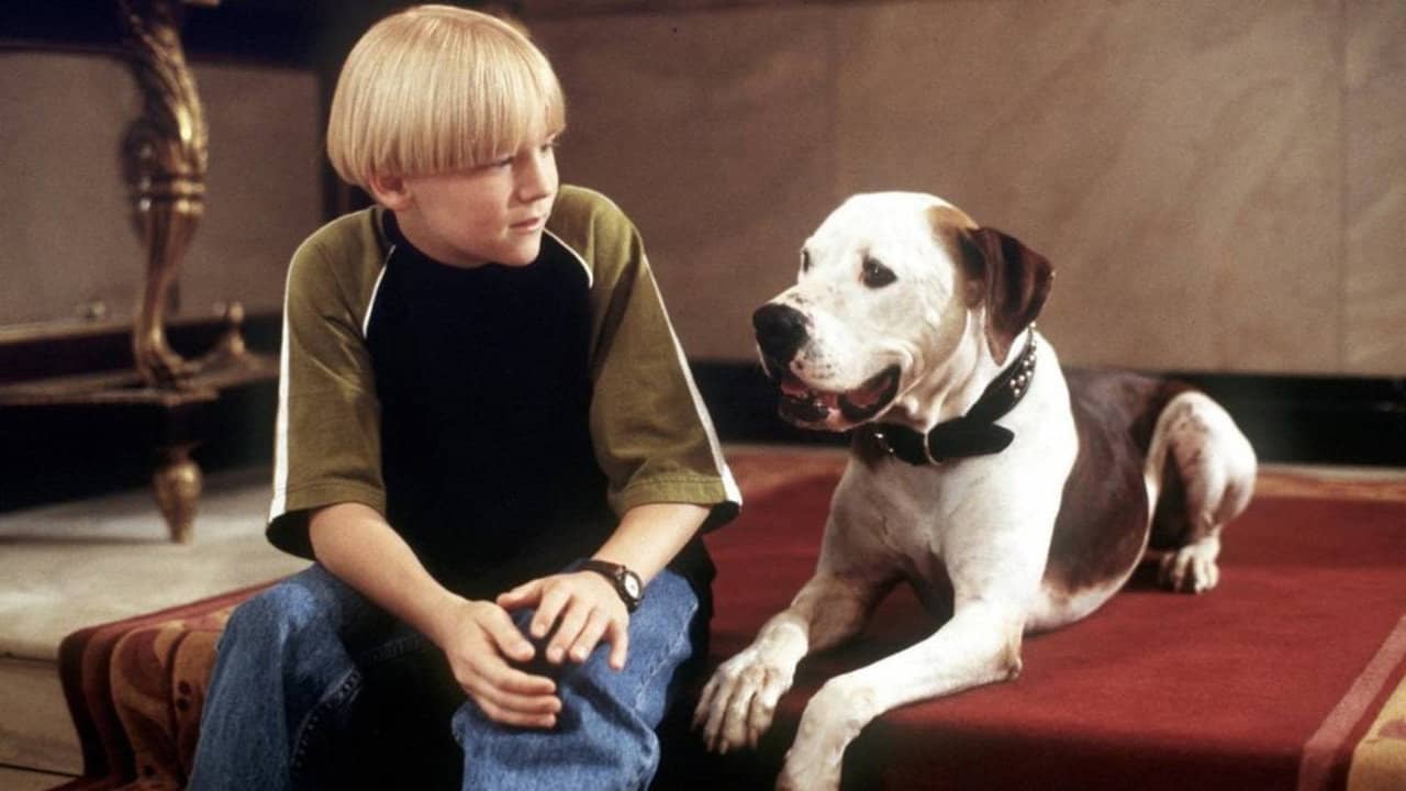 The Pooch and the Pauper backdrop