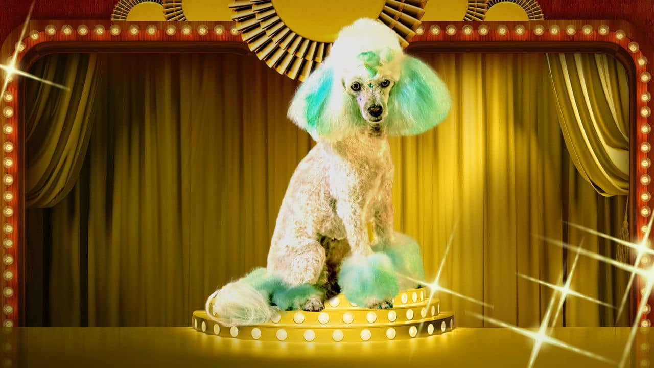 Haute Dog backdrop