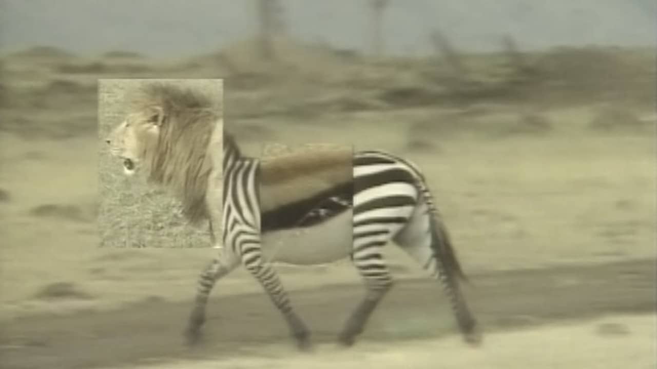 African Animal Puzzle backdrop