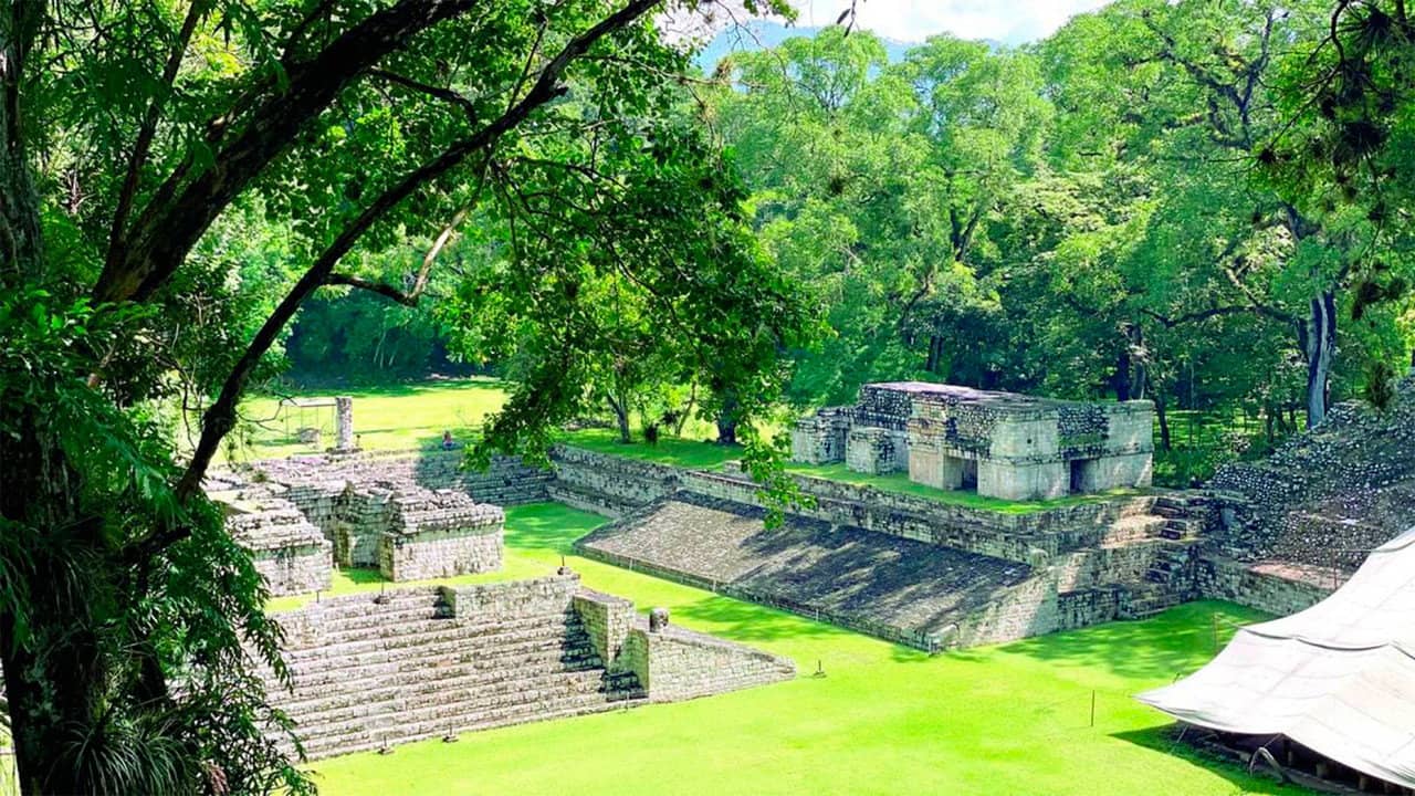 Fall Of The Maya Kings backdrop