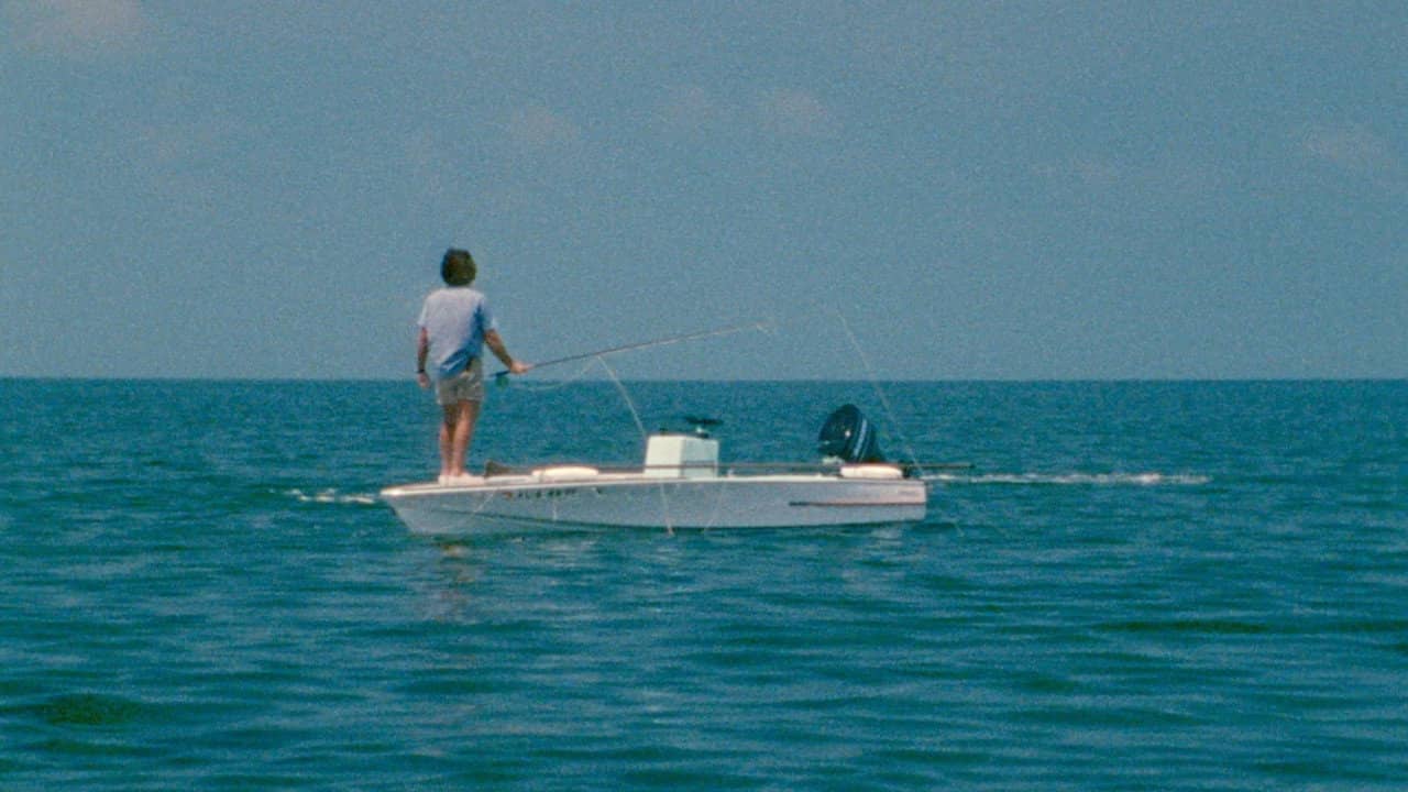 Tarpon backdrop