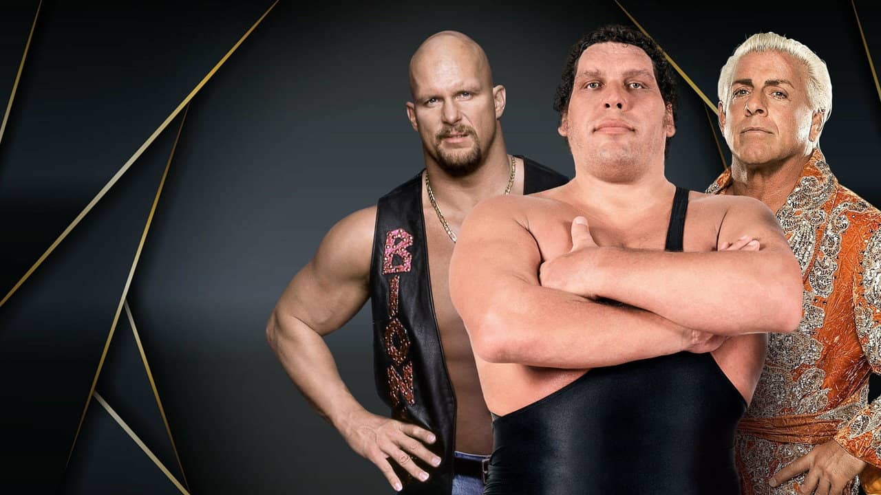 WWE Hall of Fame backdrop