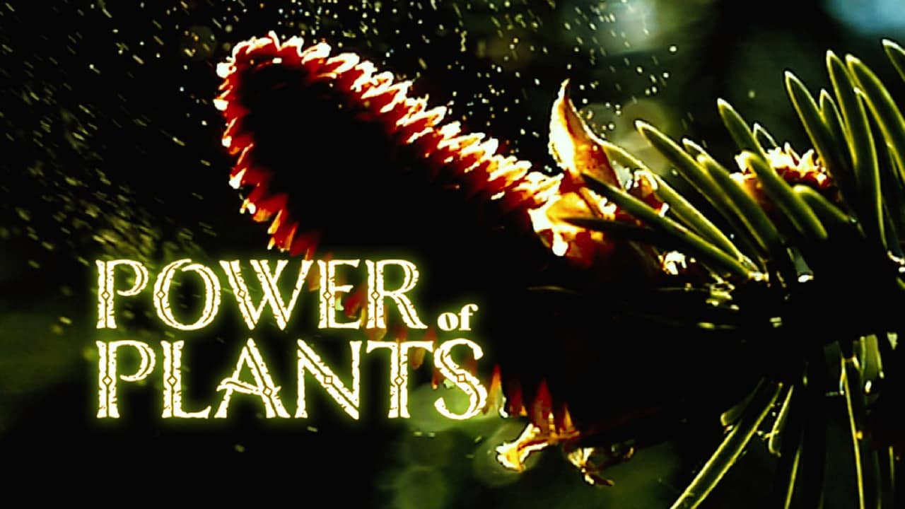 Power Of Plants backdrop