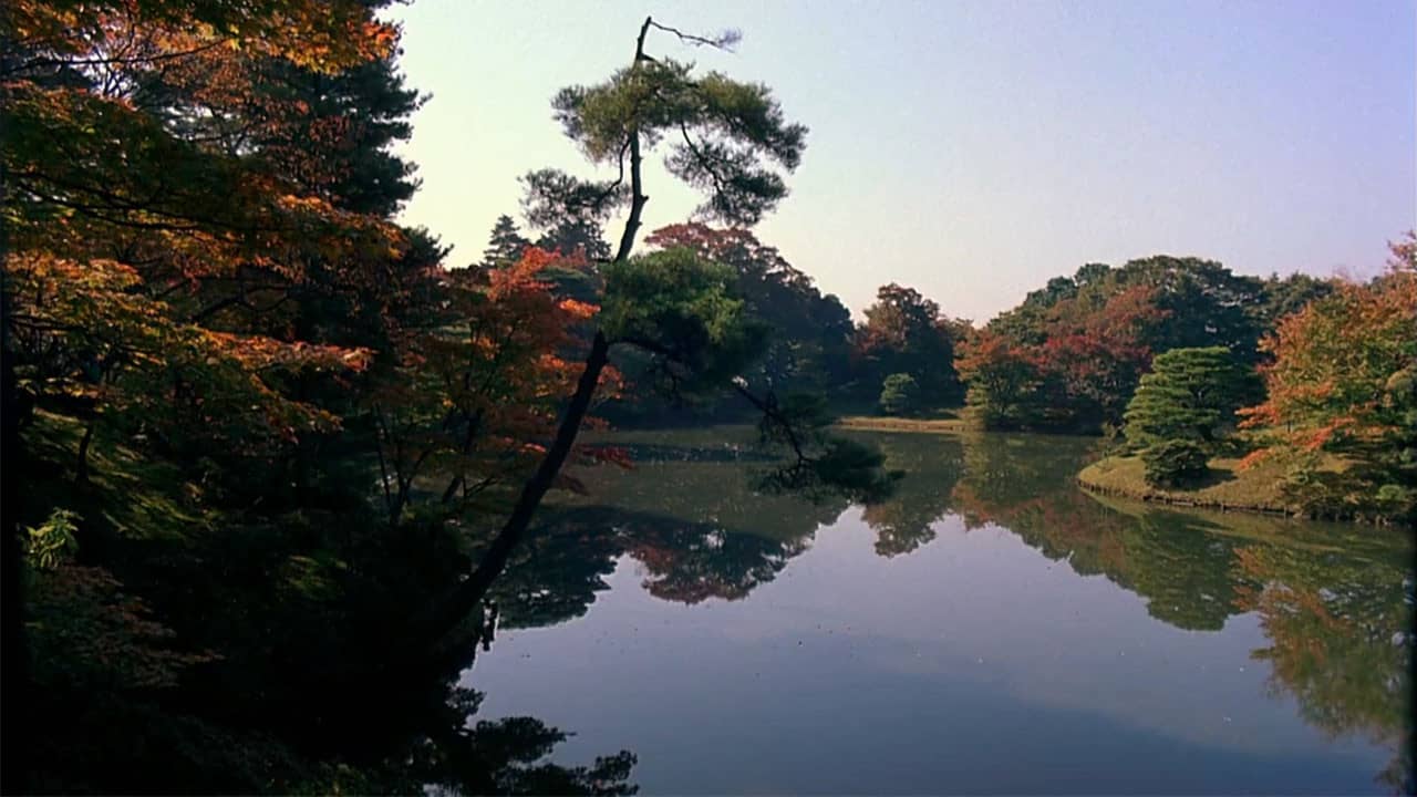 Dream Window: Reflections on the Japanese Garden backdrop