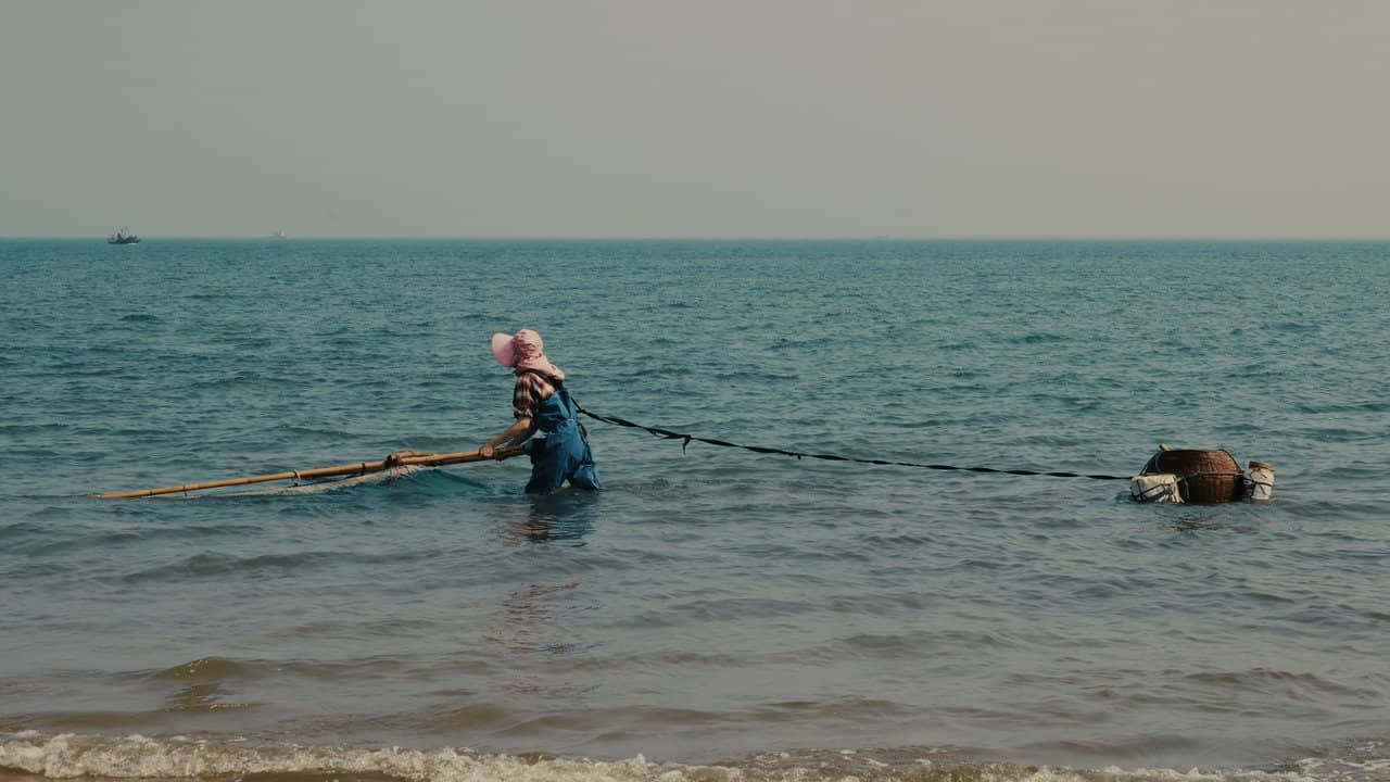 Blue Sea backdrop