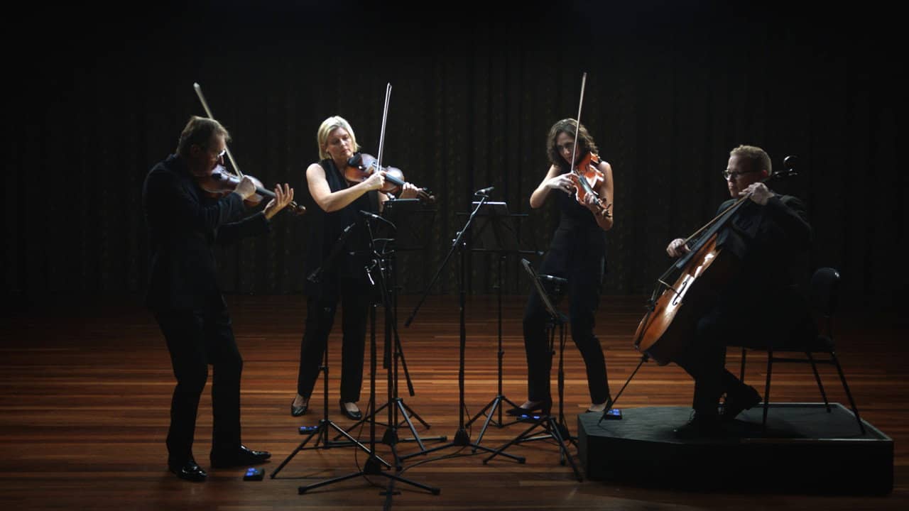 Anatomy of a String Quartet backdrop