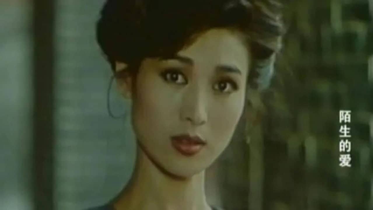 陌生的爱 backdrop