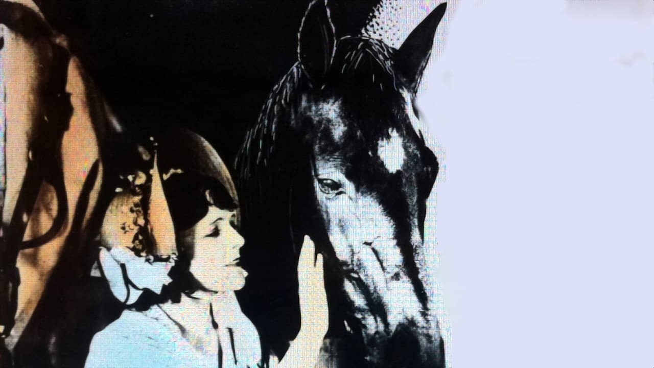Black Beauty backdrop