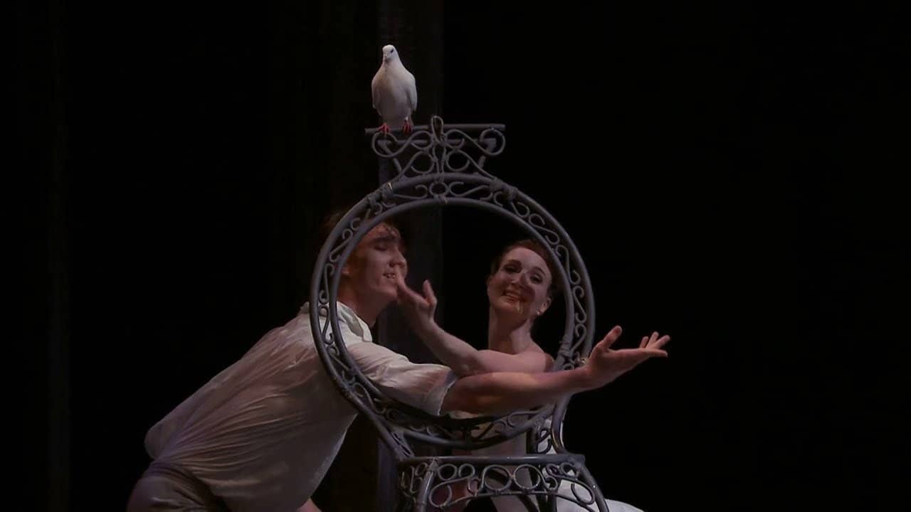 The Cellist and The Two Pigeons backdrop