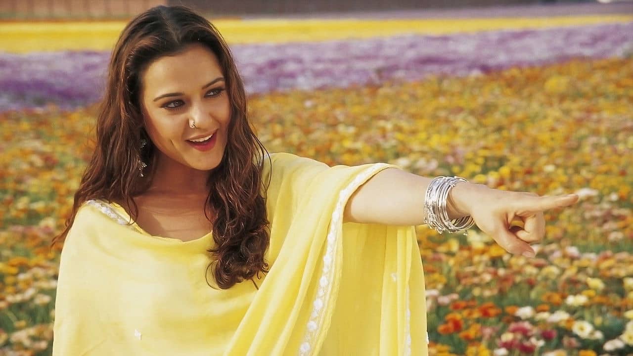 Veer-Zaara backdrop