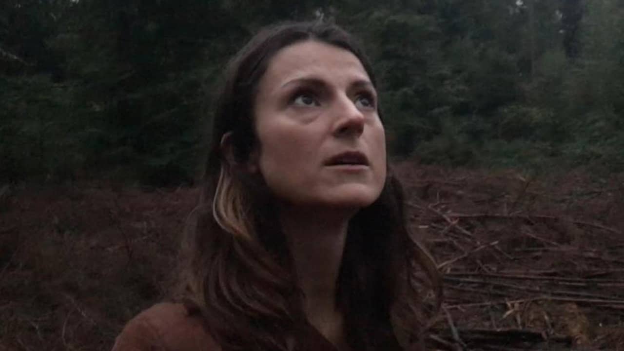 Evil in the Woods backdrop
