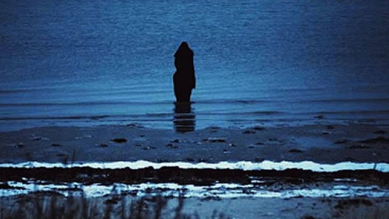 Steven Wilson: Catalogue / Preserve / Amass backdrop
